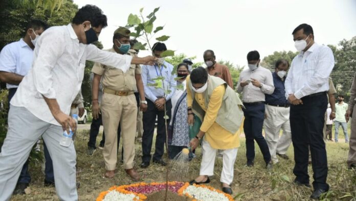 पौधारोपण