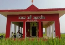 Total Samachar…. नवनिर्मित मंदिर में उत्सव