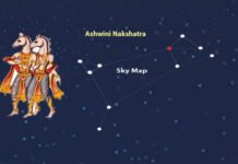 Total Samachar… अश्विनी नक्षत्र और रोगों का संबन्ध….