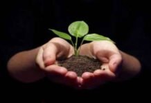 Total Samachar हरियाली की चाहत लेकर, पौधा जो दुनिया में आता है…..